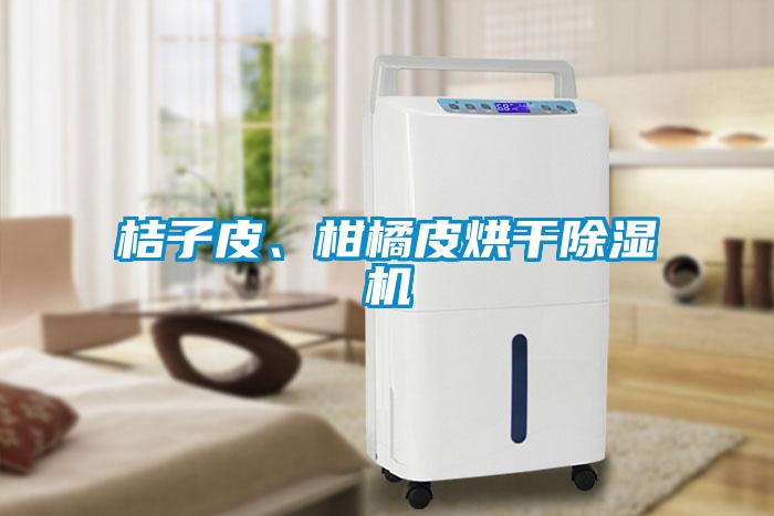 桔子皮、柑橘皮烘干除濕機