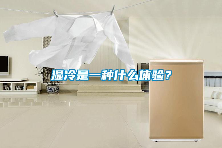 濕冷是一種什么體驗？