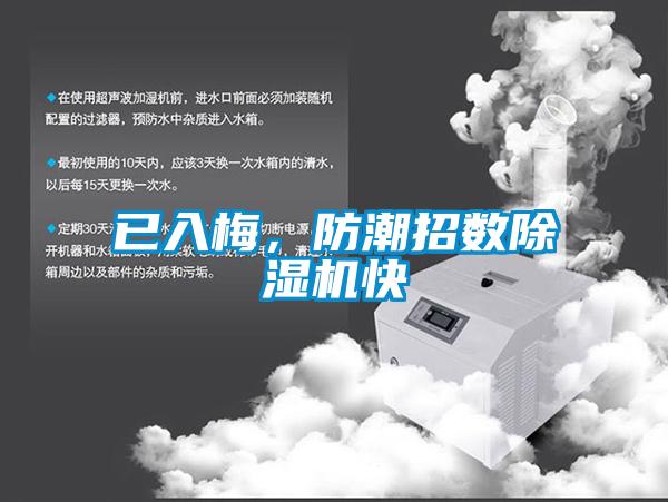 已入梅，防潮招數(shù)除濕機(jī)快