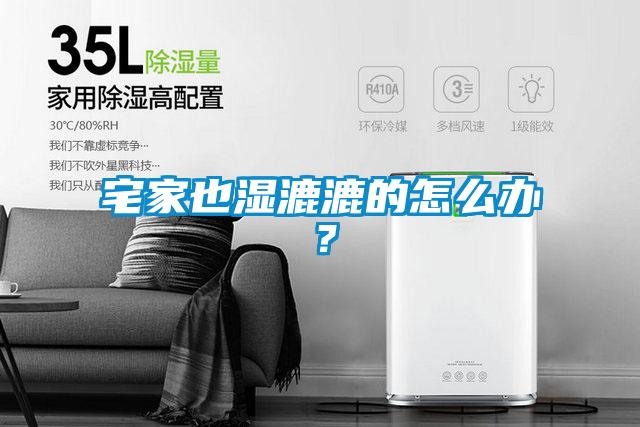 宅家也濕漉漉的怎么辦？