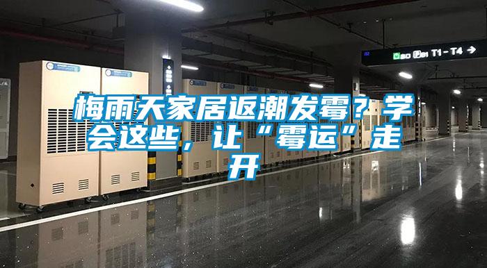 梅雨天家居返潮發(fā)霉？學(xué)會(huì)這些，讓“霉運(yùn)”走開(kāi)