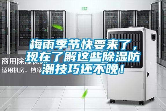 梅雨季節(jié)快要來(lái)了，現(xiàn)在了解這些除濕防潮技巧還不晚！