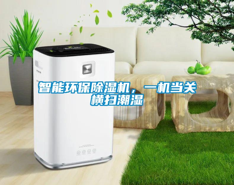 智能環(huán)保除濕機(jī)，一機(jī)當(dāng)關(guān)橫掃潮濕