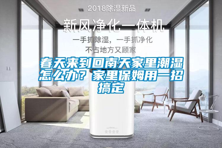 春天來(lái)到回南天家里潮濕怎么辦？家里保姆用一招搞定