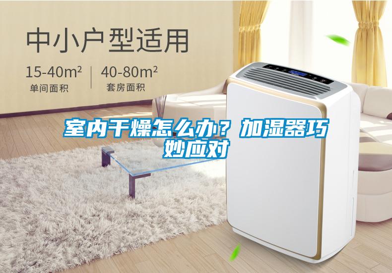 室內干燥怎么辦？加濕器巧妙應對