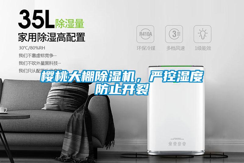 櫻桃大棚除濕機，嚴(yán)控濕度防止開裂