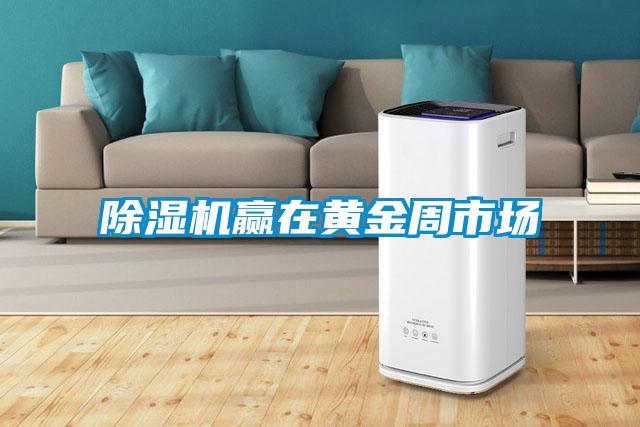 除濕機(jī)贏(yíng)在黃金周市場(chǎng)