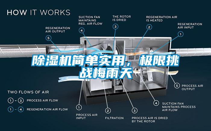 除濕機簡單實用，極限挑戰梅雨天
