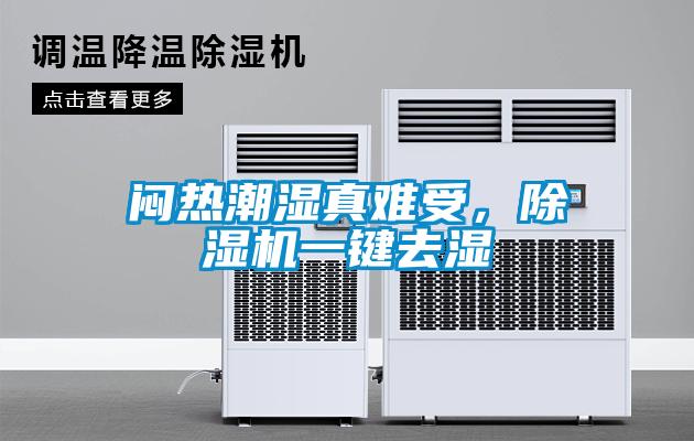 悶熱潮濕真難受，除濕機一鍵去濕