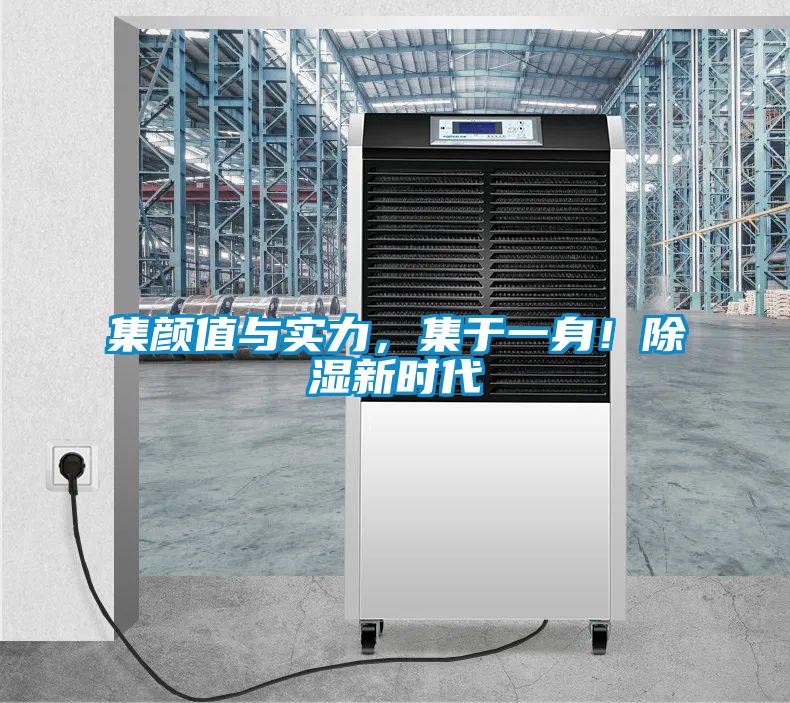集顏值與實(shí)力，集于一身！除濕新時(shí)代
