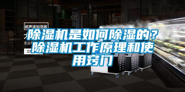 除濕機是如何除濕的？除濕機工作原理和使用竅門