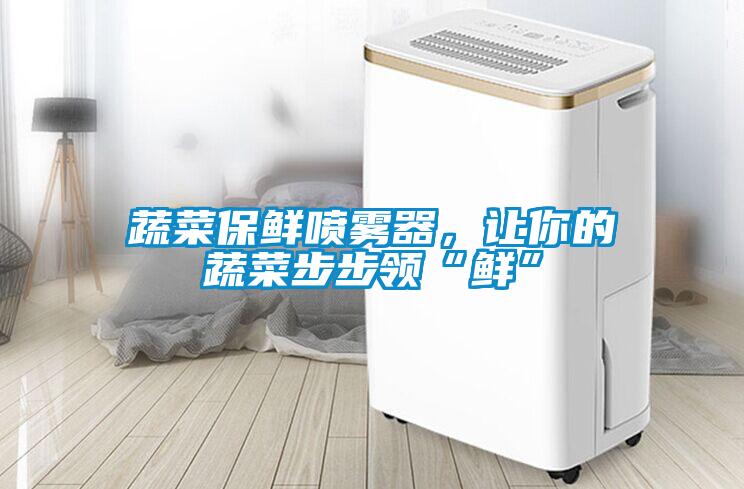 蔬菜保鮮噴霧器，讓你的蔬菜步步領“鮮”