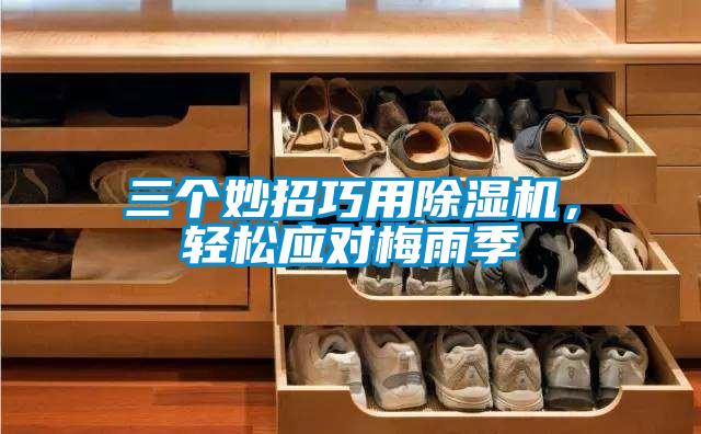 三個妙招巧用除濕機，輕松應對梅雨季