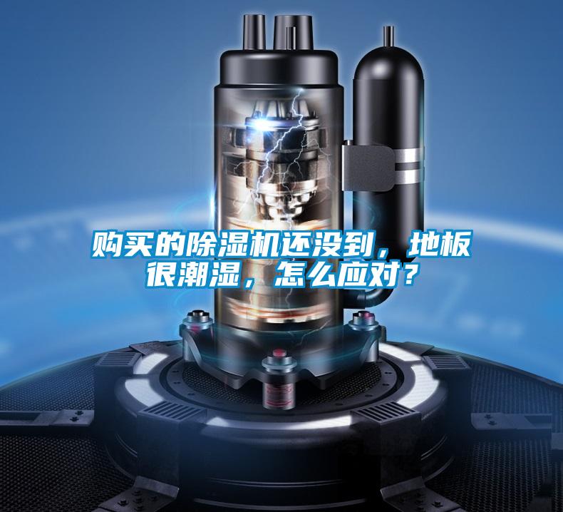購買的除濕機還沒到，地板很潮濕，怎么應對？