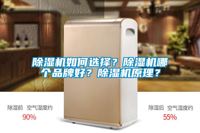 除濕機如何選擇？除濕機哪個品牌好？除濕機原理？