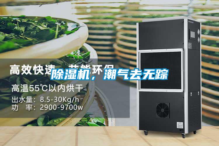 除濕機(jī)，潮氣去無(wú)蹤
