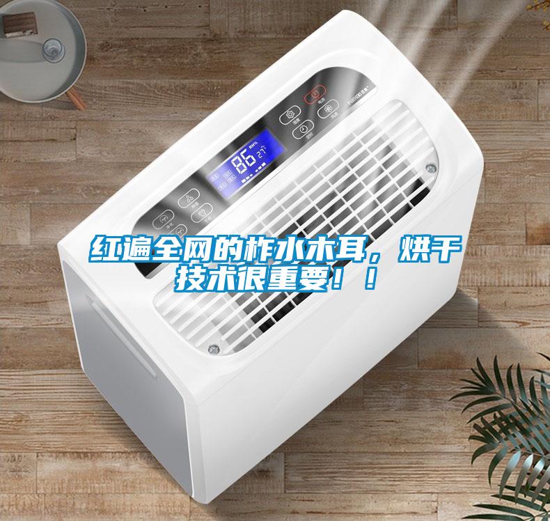 紅遍全網(wǎng)的柞水木耳，烘干技術(shù)很重要?。?></div>
								<div   id=