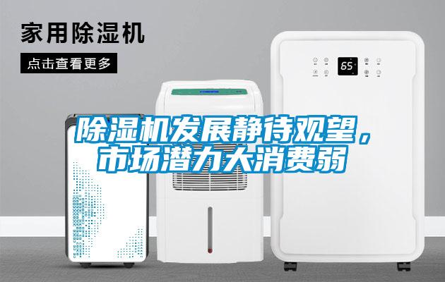 除濕機(jī)發(fā)展靜待觀望，市場(chǎng)潛力大消費(fèi)弱
