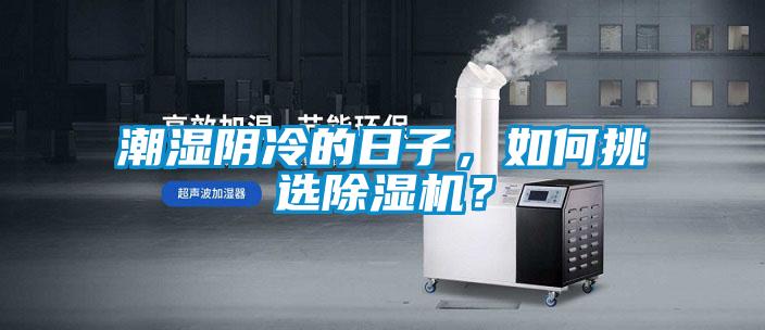 潮濕陰冷的日子，如何挑選除濕機？