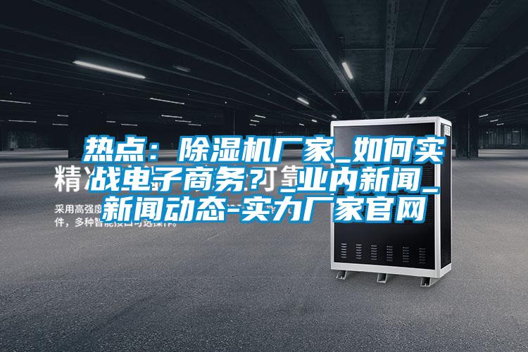 熱點(diǎn)：除濕機(jī)廠家_如何實(shí)戰(zhàn)電子商務(wù)？_業(yè)內(nèi)新聞_新聞動態(tài)-實(shí)力廠家官網(wǎng)