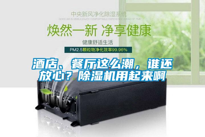 酒店、餐廳這么潮，誰還放心？除濕機(jī)用起來啊