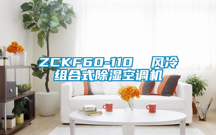 ZCKF60-110  風冷組合式除濕空調(diào)機