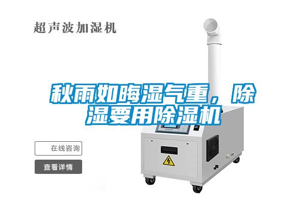 秋雨如晦濕氣重，除濕要用除濕機