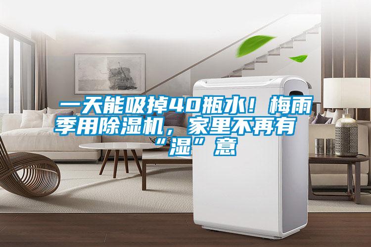 一天能吸掉40瓶水！梅雨季用除濕機，家里不再有“濕”意