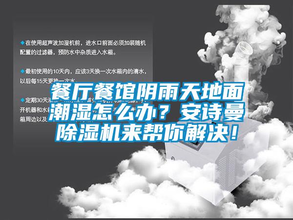 餐廳餐館陰雨天地面潮濕怎么辦?安詩曼除濕機來幫你解決!