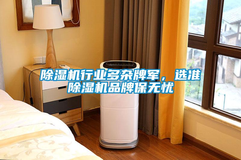 除濕機行業多雜牌軍，選準除濕機品牌保無憂