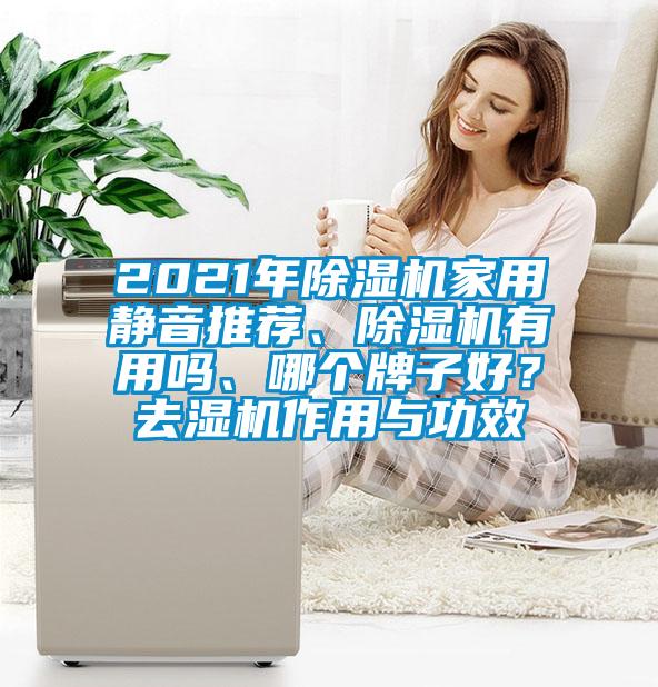 2021年除濕機(jī)家用靜音推薦、除濕機(jī)有用嗎、哪個牌子好？去濕機(jī)作用與功效