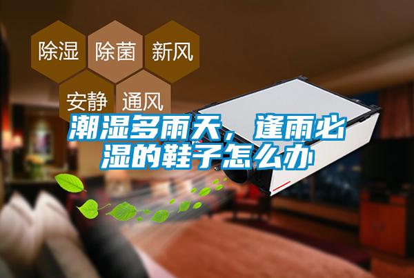 潮濕多雨天，逢雨必濕的鞋子怎么辦