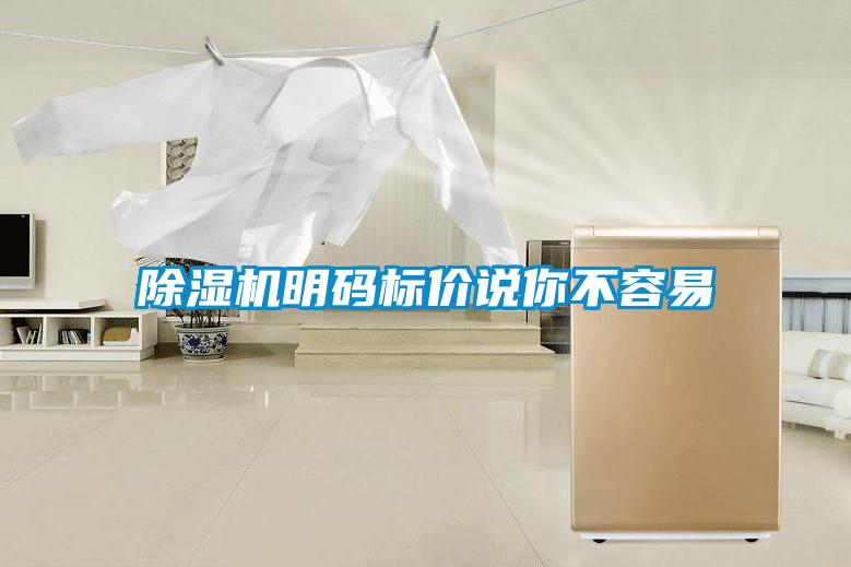 除濕機(jī)明碼標(biāo)價(jià)說你不容易
