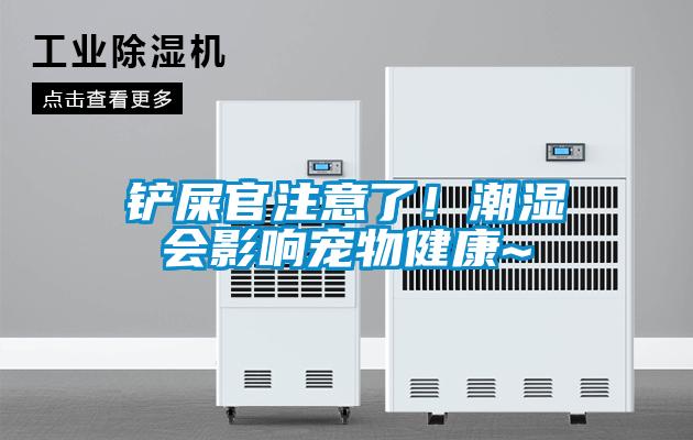 鏟屎官注意了！潮濕會(huì)影響寵物健康~
