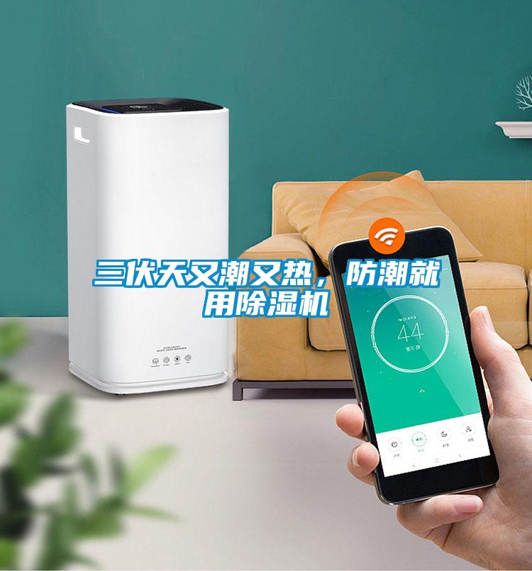 三伏天又潮又熱，防潮就用除濕機(jī)