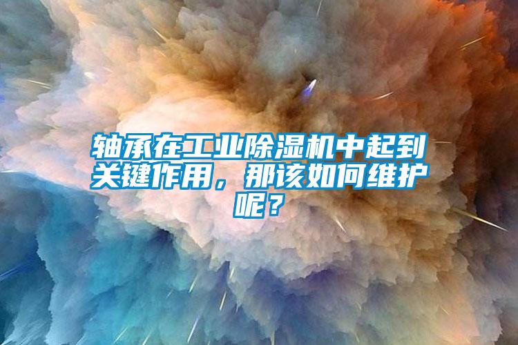 軸承在工業(yè)除濕機中起到關鍵作用，那該如何維護呢？