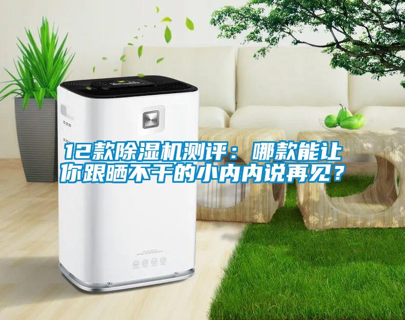 12款除濕機測評：哪款能讓你跟曬不干的小內(nèi)內(nèi)說再見？