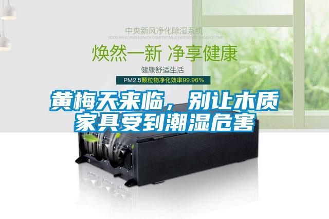 黃梅天來臨，別讓木質家具受到潮濕危害