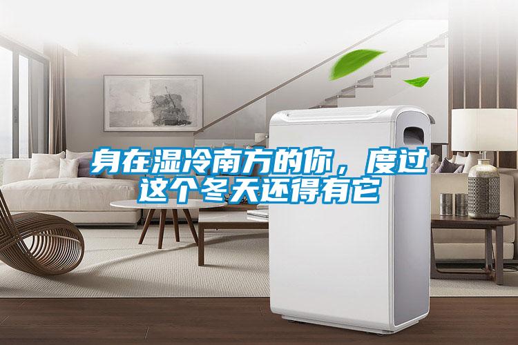 身在濕冷南方的你，度過這個冬天還得有它
