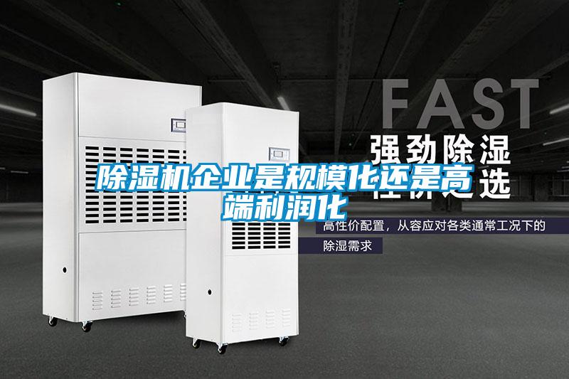 除濕機(jī)企業(yè)是規(guī)模化還是高端利潤化