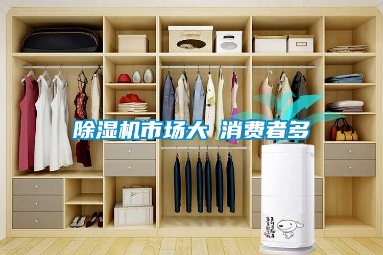 除濕機(jī)市場大≠消費(fèi)者多