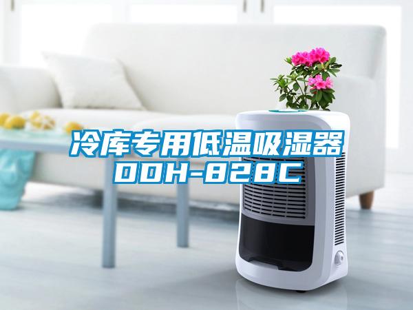 冷庫(kù)專用低溫吸濕器DDH-828C