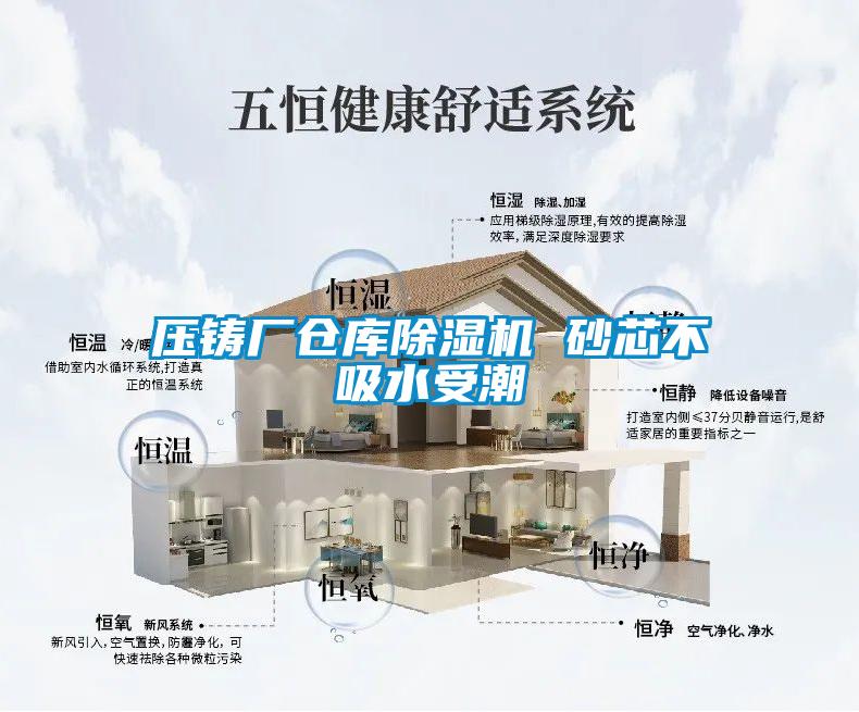 壓鑄廠(chǎng)倉(cāng)庫(kù)除濕機(jī) 砂芯不吸水受潮