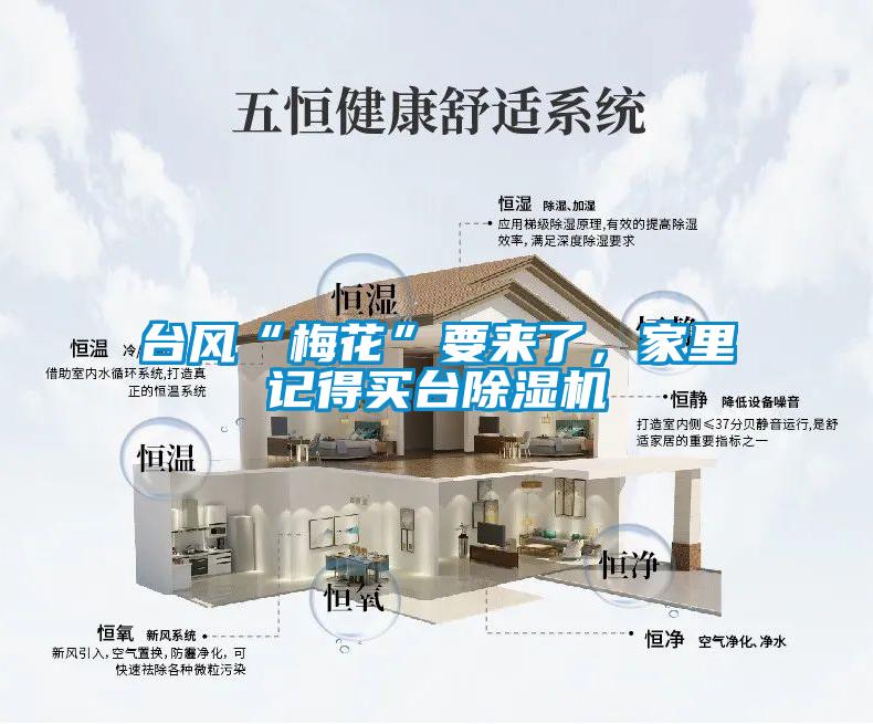 臺風“梅花”要來了，家里記得買臺除濕機