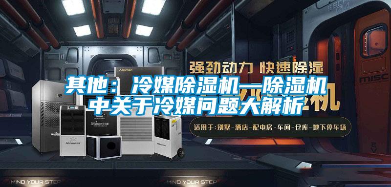 其他：冷媒除濕機(jī)—除濕機(jī)中關(guān)于冷媒問(wèn)題大解析