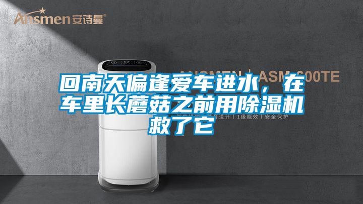 回南天偏逢愛車進水，在車里長蘑菇之前用除濕機救了它