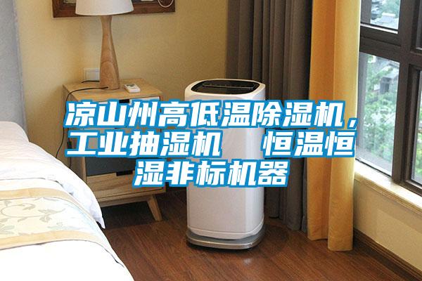 涼山州高低溫除濕機，工業(yè)抽濕機  恒溫恒濕非標(biāo)機器