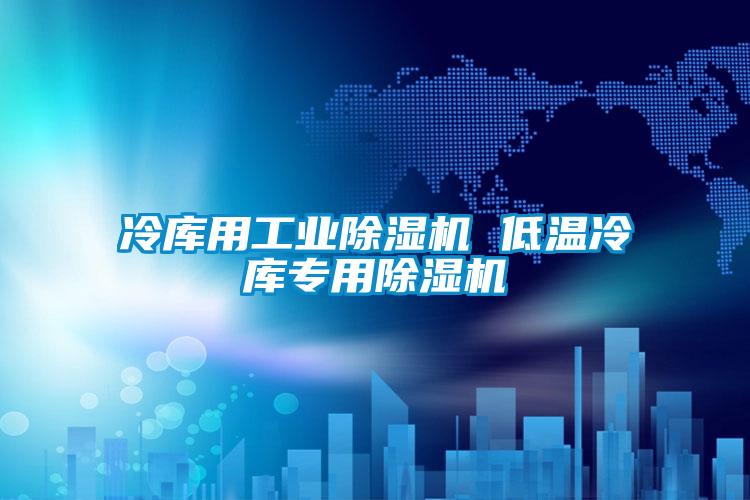 冷庫(kù)用工業(yè)除濕機(jī) 低溫冷庫(kù)專(zhuān)用除濕機(jī)