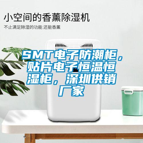 SMT電子防潮柜，貼片電子恒溫恒濕柜，深圳供銷廠家