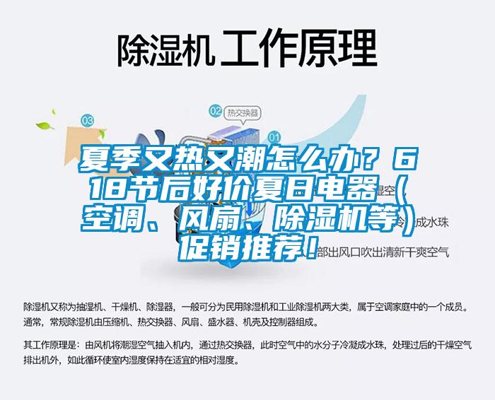 夏季又熱又潮怎么辦？618節后好價夏日電器（空調、風扇、除濕機等）促銷推薦！
